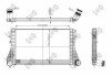 Радіатор інтеркулера а PASSAT/TIGUAN 1.4-2.0 05- LORO DEPO 053-018-0013 (фото 1)