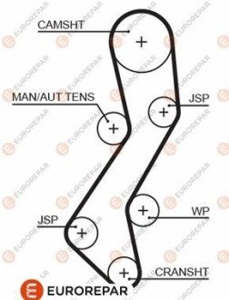 Ремінь зубчастий (довж. 60-150) EUROREPAR 1633136880