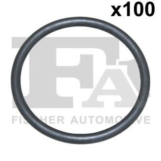 Кільце гумове Fischer Automotive One (FA1) 479.400.100