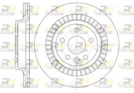 Гальмівний диск RH ROADHOUSE 61320.10
