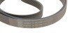 Ремкомплект ГРМ MITSUBISHI/NISSAN/OPEL/RENAULT/VOLVO Carisma/Primastar/Laguna/S40 "1,8-2,0 "00>> SKF VKMA 36038 (фото 4)