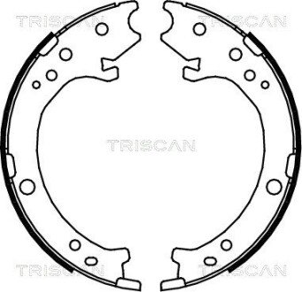 Комплект гальмівних колодок, стоянкове гальмо TRISCAN 810040007 (фото 1)