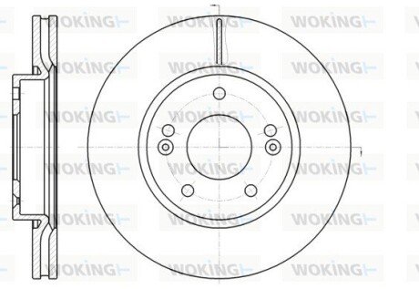Диск гальмівний передній (кратно 2) (Remsa) Hyundai Tucson I, i30, Kia Sportage, Ceed 08&gt;12, Soul, Venga (D61208.10) WOKING D6120810 (фото 1)